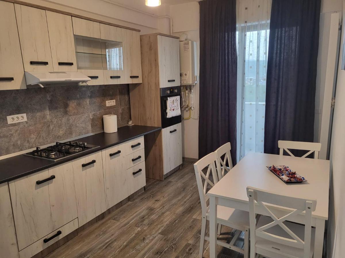 Ferienwohnung Apartament Dem Radulescu Râmnicu Vâlcea Exterior foto