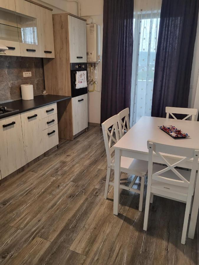 Ferienwohnung Apartament Dem Radulescu Râmnicu Vâlcea Exterior foto